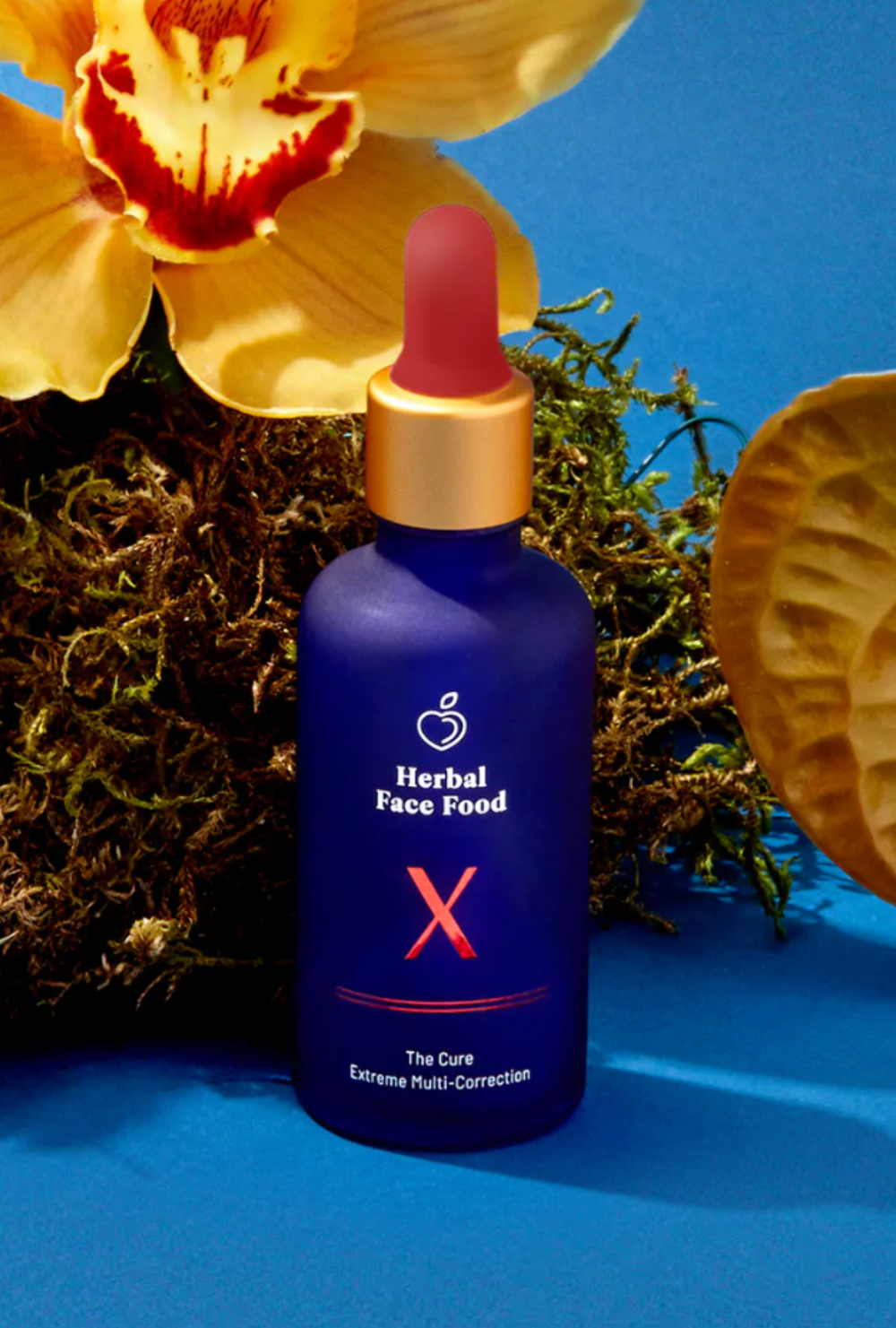 6_1000x.png?v=1727393525