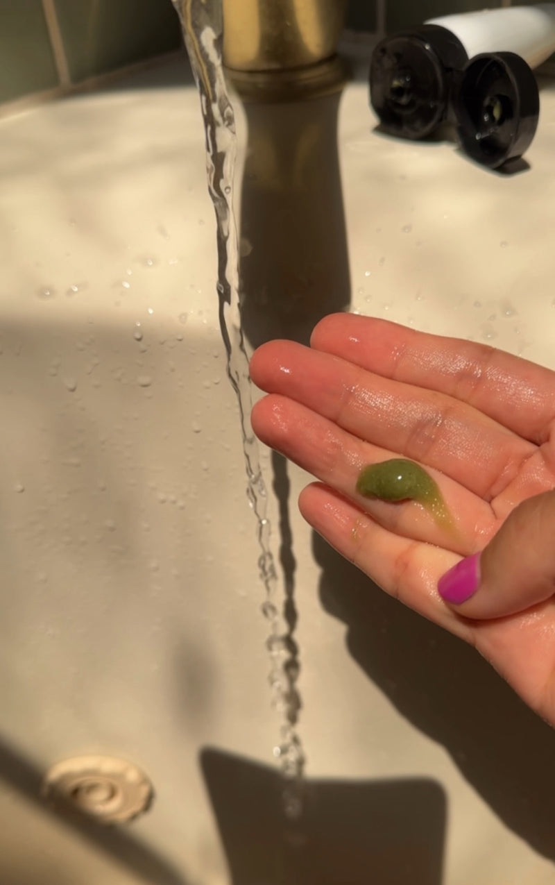 MINI Shell Scrub