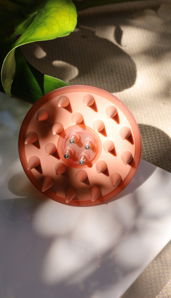 The Scalp Brush