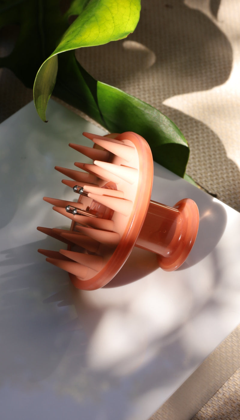 The Scalp Brush